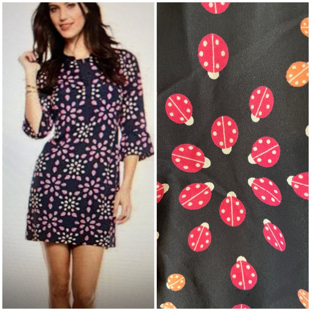 New! Crown & Ivy Ladybug Printed Dress Size 2P Blue‎ Pink 3/4 Sleeves NWT
